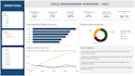 build a professional power bi dashboard with KPI insights