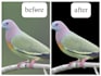 remove background from any image in 2 hours
