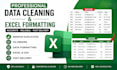 expert data cleaning formatting and deduplication