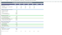 build a professional 3 statement financial model
