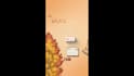 create professional infographic video and motion graphics