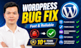 fix wordpress bugs, errors and website issues