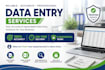 do data entry, excel data entry, web research and copy paste task