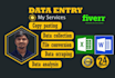 do professional data entry, excel data cleaning and dashboard for your bussiness