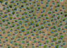process drone data, create orthomosaics and operational maps