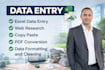 do excel data entry, copy paste, PDF to excel, web research and typing