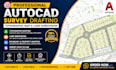 do professional autocad survey drafting topographic map and land subdivision