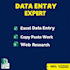 do professional data entry, copy paste and web research work
