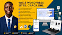 do gohighlevel wordpress integration and sync