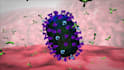 create 3d medical animation moa vaccine scientific molecular explainer video