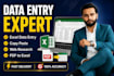 do accurate data entry, excel data entry, copy paste and web research