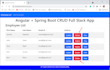 develop a full stack java angular web app