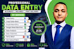 do data entry, excel data collection, typing and copy paste work professionally