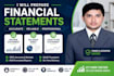 prepare professional financial statement and balance sheet
