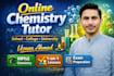 provide one on one chemistry and science tutoring
