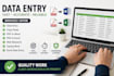 do  data entry excel PDF to word and copy paste tasks
