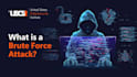 brute force cyber attack malware removal information security ddos attack