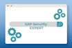 provide sap security and grc freelance support