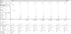 prepare professional electrical calculation reports using caneco bt