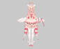 design 2d vtuber model, anime vtuber and rig vtuber rigging professionally