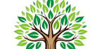 design catchy amazing tree service logo