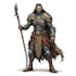 professional dnd, fantasy character and dnd character