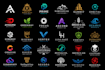make you a custom high quality logo