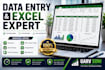 provide professional data entry and excel services