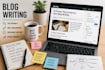 professionally provide you a soe blog post