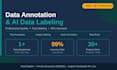 do professional data annotation, data entry, and ai training data labeling