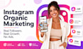 do instagram organic marketing, promotion and content creation