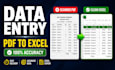 do accurate excel data entry and PDF to excel