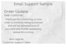 provide professional customer support and live chat service