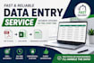 profesionally handle your data entry jobs