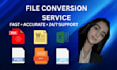 professionally convert any file format with accuracy