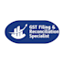 do professional gst filing gstr 1 gstr 3b 2b reconciliation