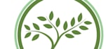 design a professional modern tree, leaf logo