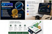 write professional crypto, blockchain, nft and web3 articles