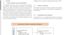 write systematic review and metaanalysis