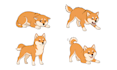 draw dog training vector illustration