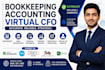 be your expert bookkeeper, accountant and virtual cfo
