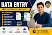 data entry document formatting copy paste and web search