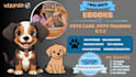 create a complete pet care guide, dog training, and hygiene ebook