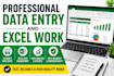 do professional data entry, web search, excel