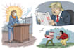 create political and editorial cartoons