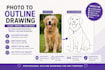 convert your photo into a printable coloring book page