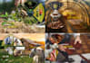 design a professional brochure, bifold or trifold brochure