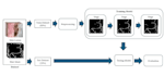 provide ai, machine learning, and deep learning development