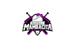 create exciting baseball themed logo