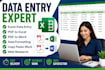 data entry, excel data cleaning, analysis and copy paste